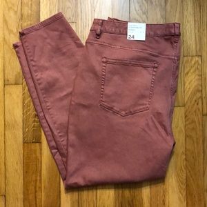 NWT Lane Bryant rose skinny jeans - 24